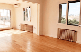 palma-calle-oms-before-10