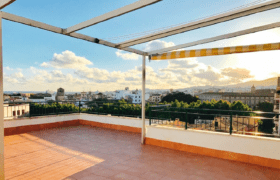 palma-calle-oms-before-12