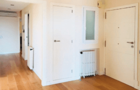 palma-calle-oms-before-4